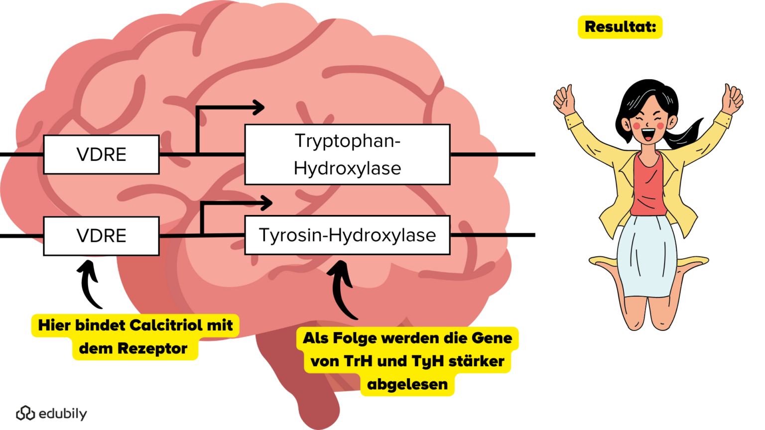 Depressionen im Sommer Vitamin D Biochemie für dein genetisches Maximum