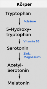 Tryptophan-Stoffwechsel