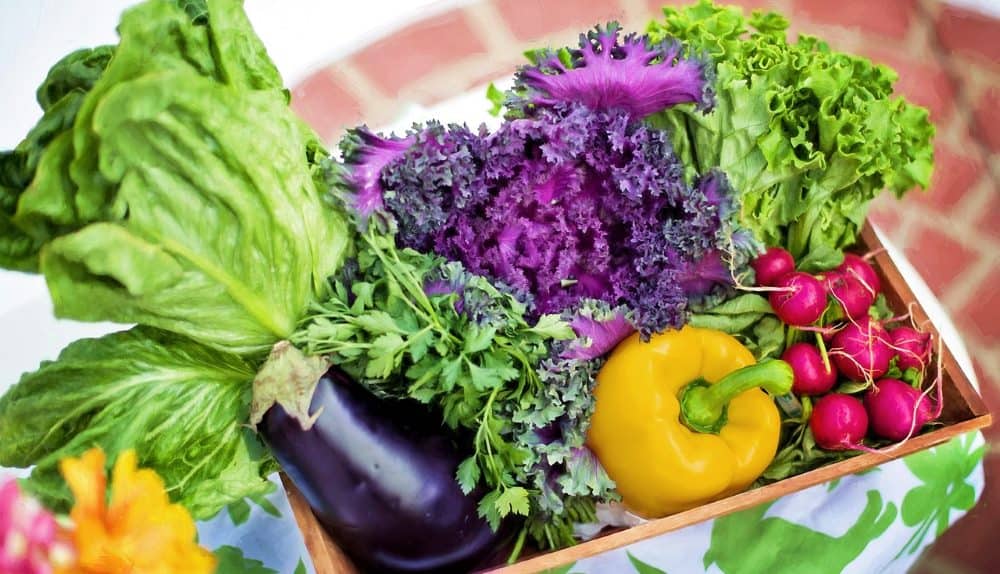 Neue Mechanismen: So heilt Gemüse deinen Darm