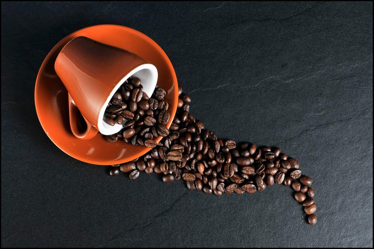Gesundheit: Kaffee schaltet Autophagie ein