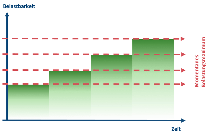 adaptabilität anpassung