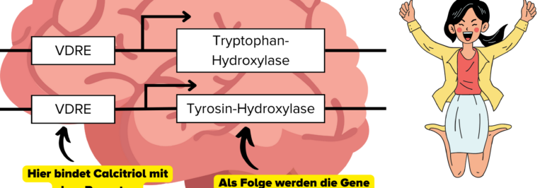 vitamin d dopamin serotonin 1