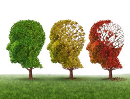 Alzheimer-Risikogen (APOE4) entschärfen
