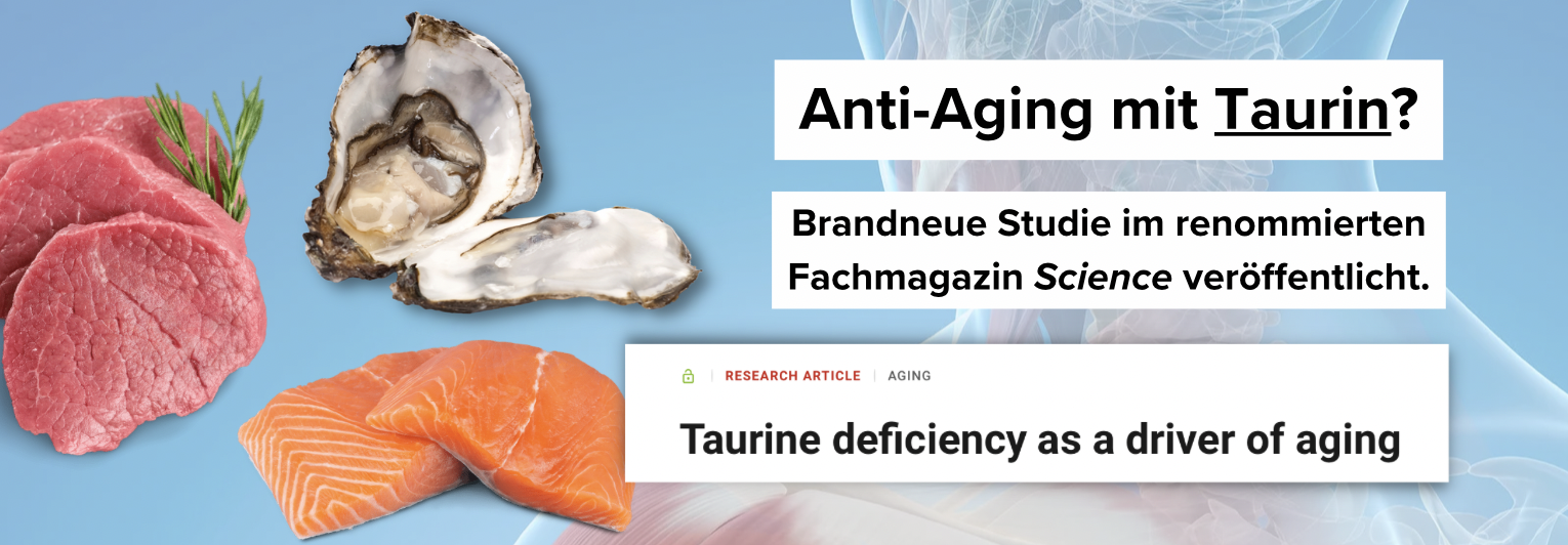 taurin antiaging science