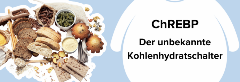 chrebp kohlenhydratschalter