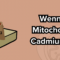 kakao cadmium mitochondrien