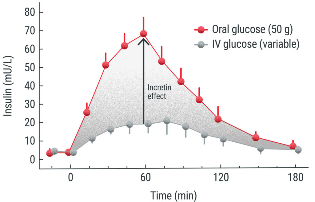 regulating glucose levels healthy subjects iconv02@2x