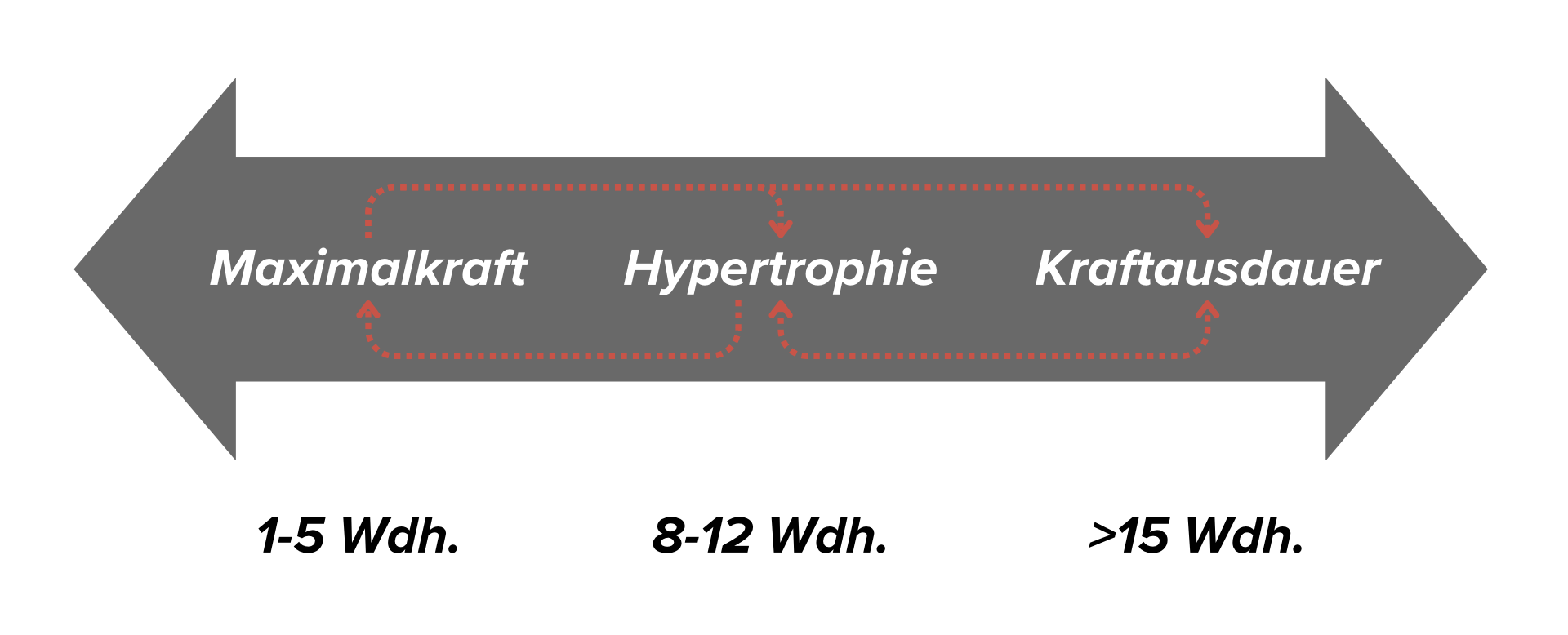 wiederholungskontinuum mit update