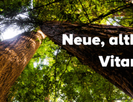 Neu: Vitamin N und Vitamin L
