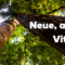 vitamin l und n