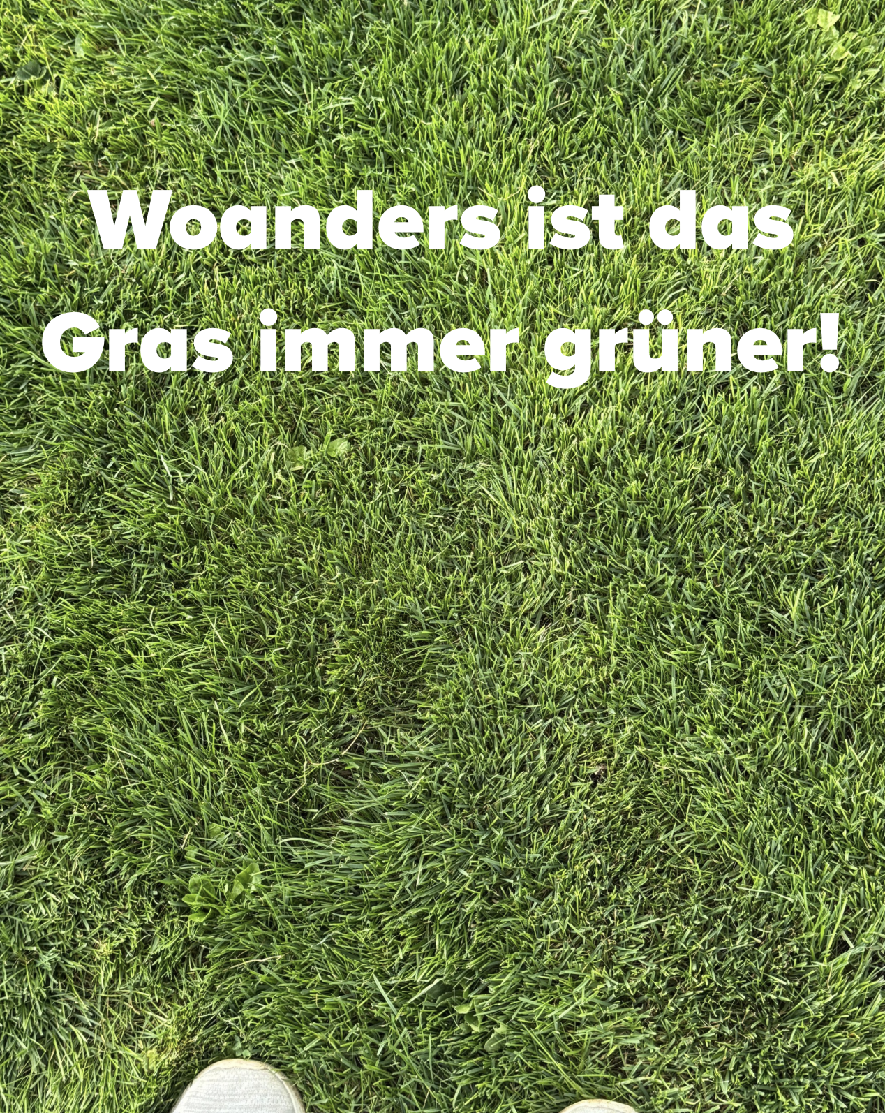 grünes gras karies grünes gras karies