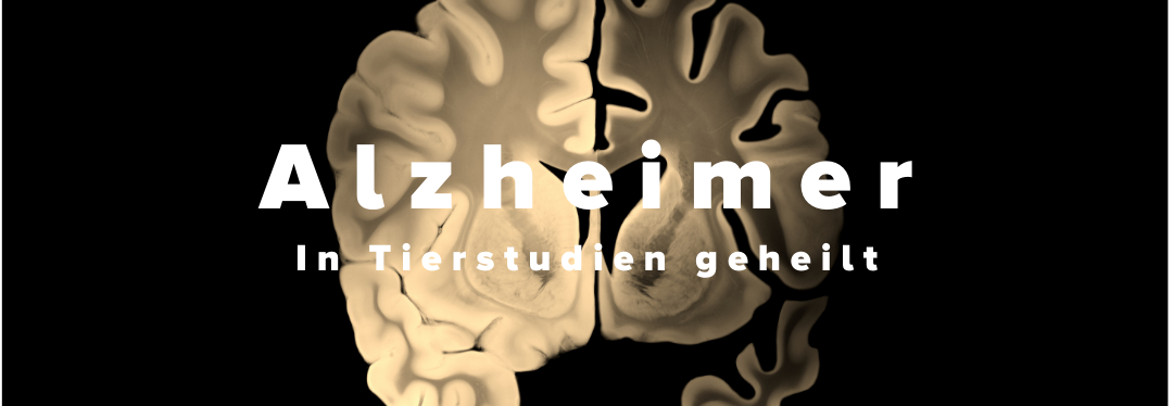 Alzheimer geheilt