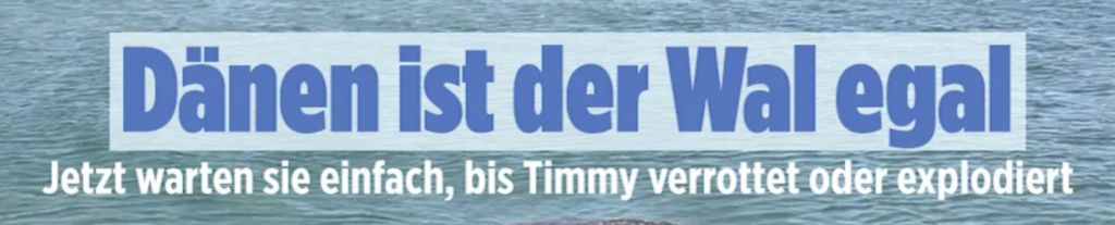 Dänen ist Timmy egal