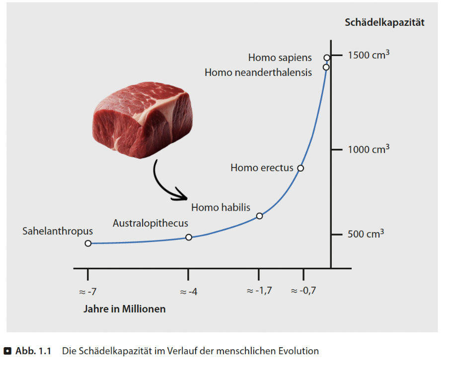 Fleischkonsum Evolution