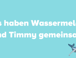 Weiterschlafen, bitte!