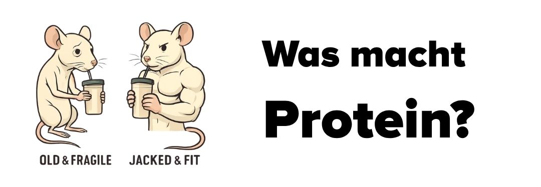 protein ist leben