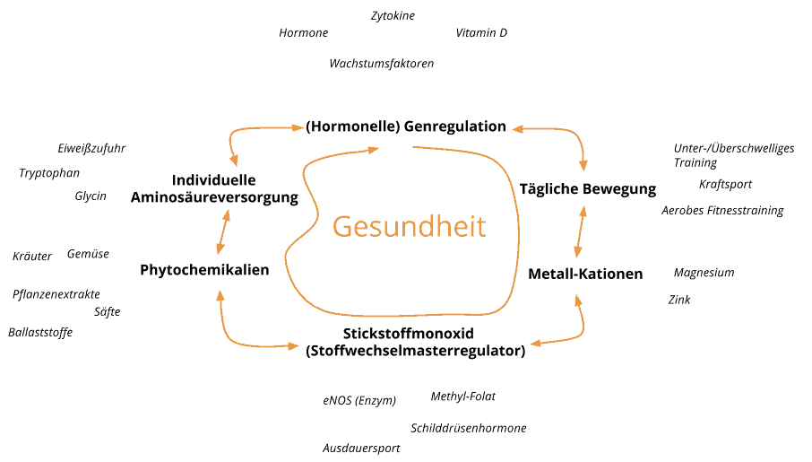 Das edubily-Konzept im Kontext