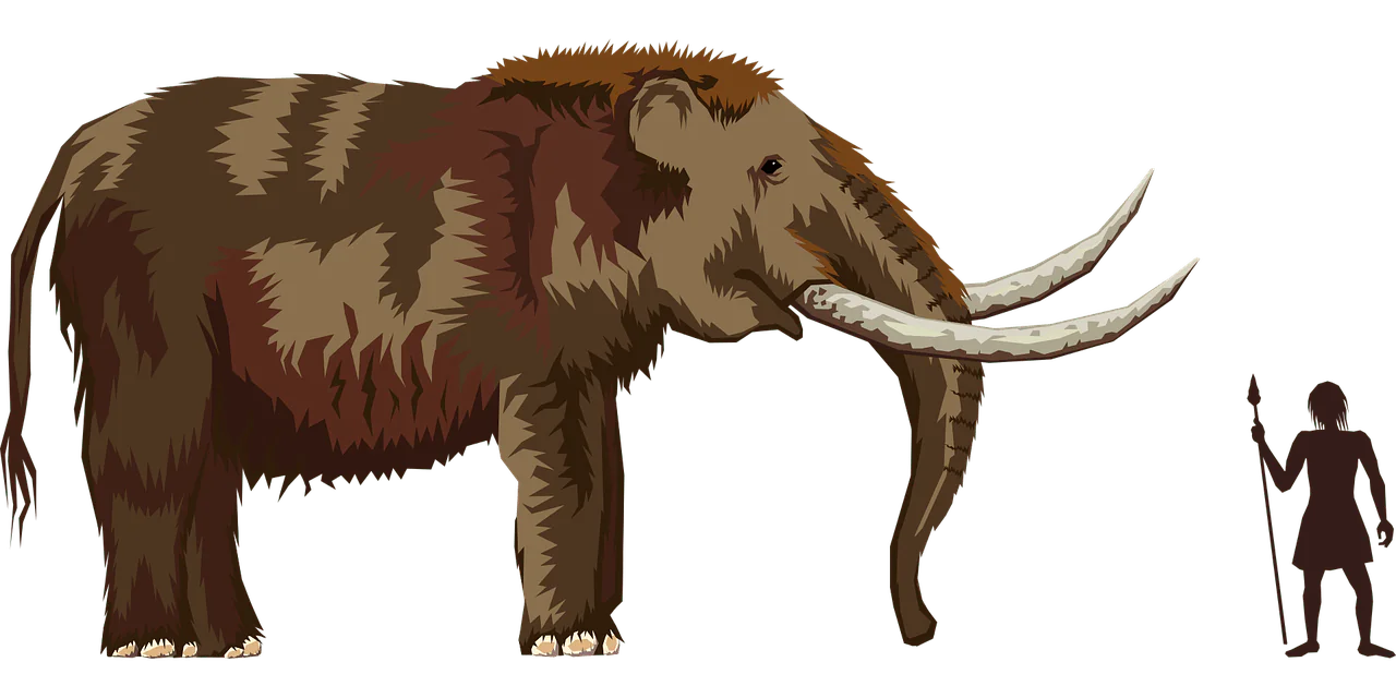 Homo sapiens der Großwildjäger