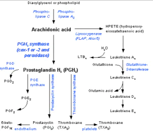 Screenshot 2014-12-28 at 13.23.47