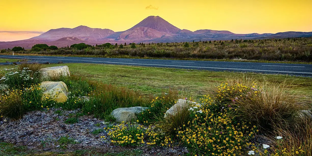 Vitamin B6 und Zink verändern das Leben