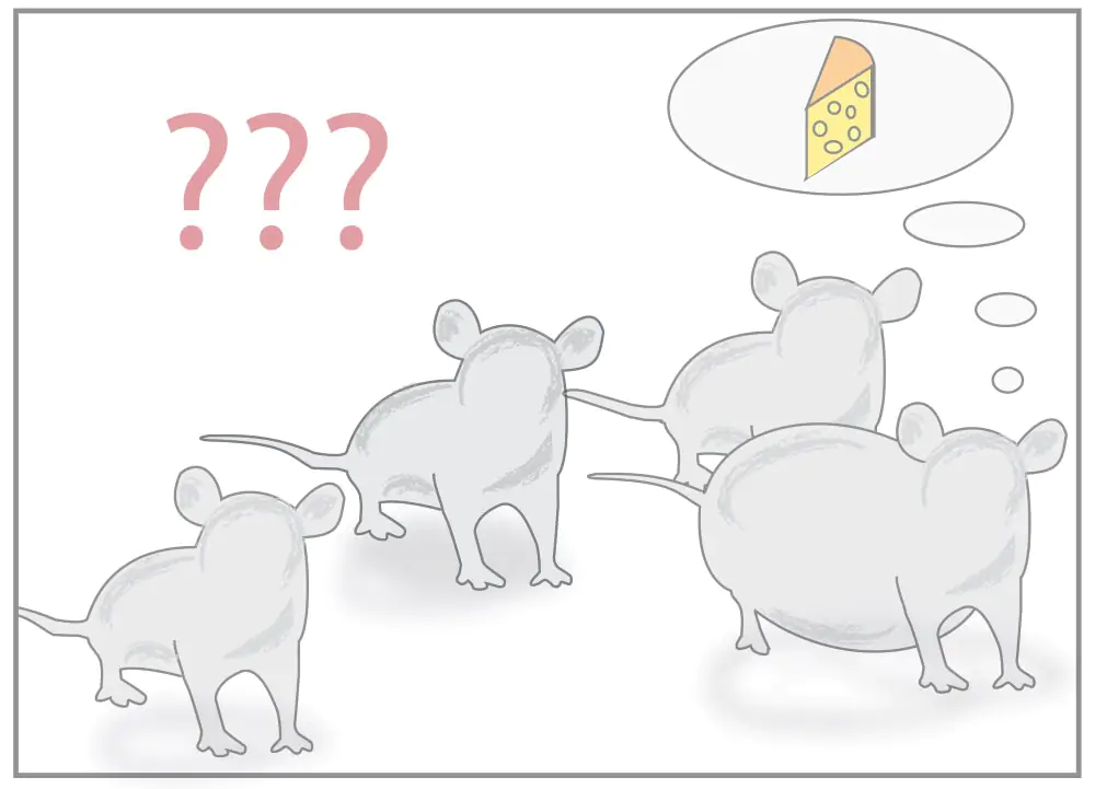 das hungerhormon leptin