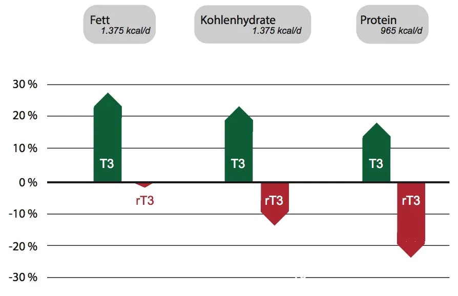 einfluss von fett, kohlenhydrate und protein auf schilddrüsenwerte