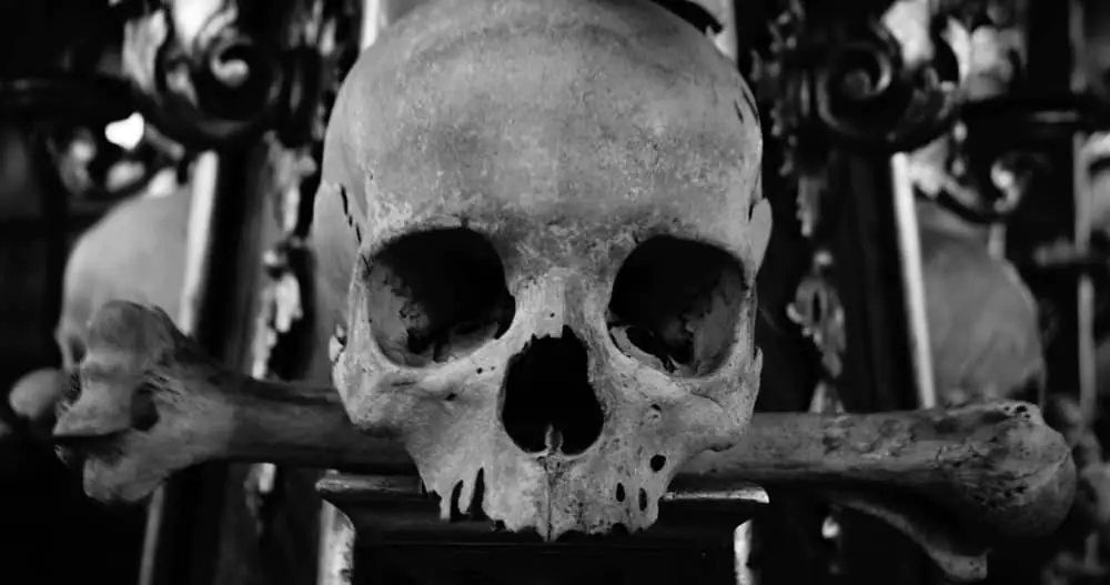 Bye Bye Paleo – Schluss mit der Pseudowissenschaft