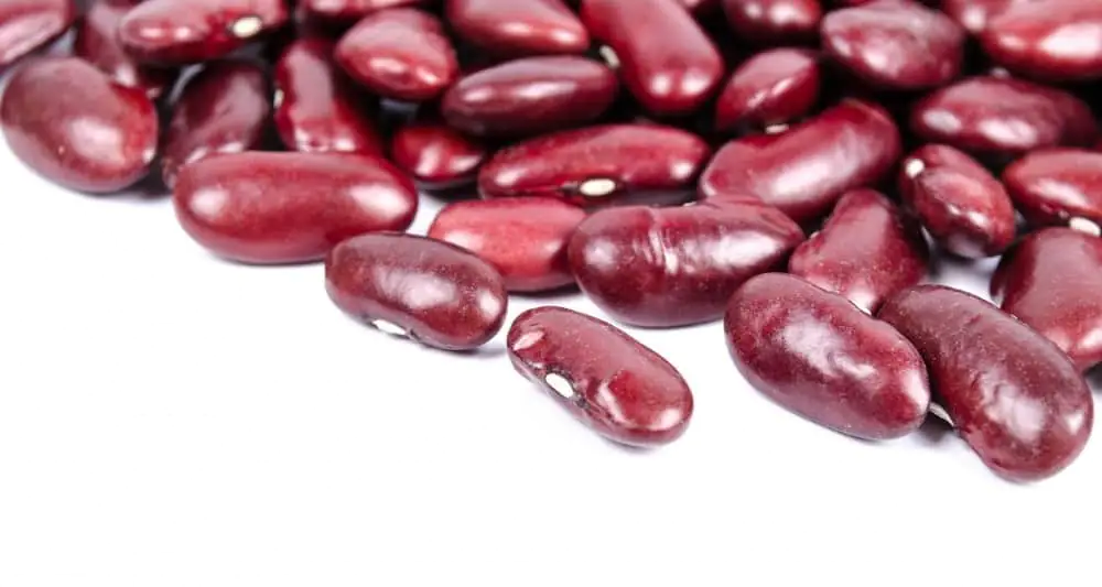 Bohnen enthalten viele Pflanzenstoffe