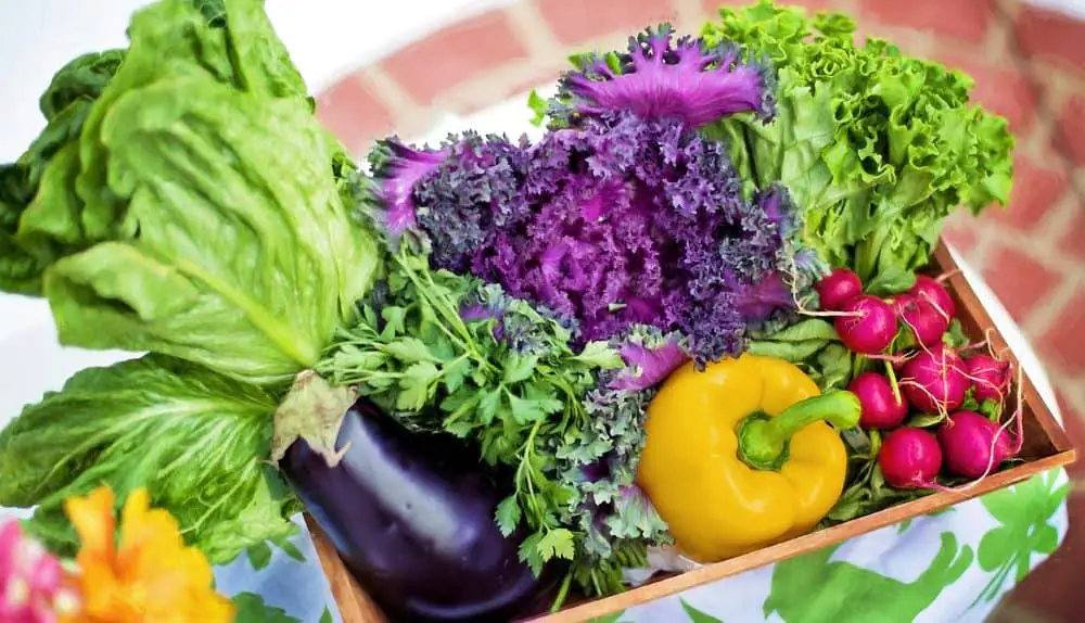 Gesund durch Gemüse