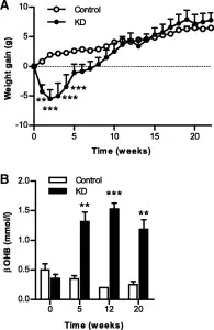 Studie No Carb bei Mäusen