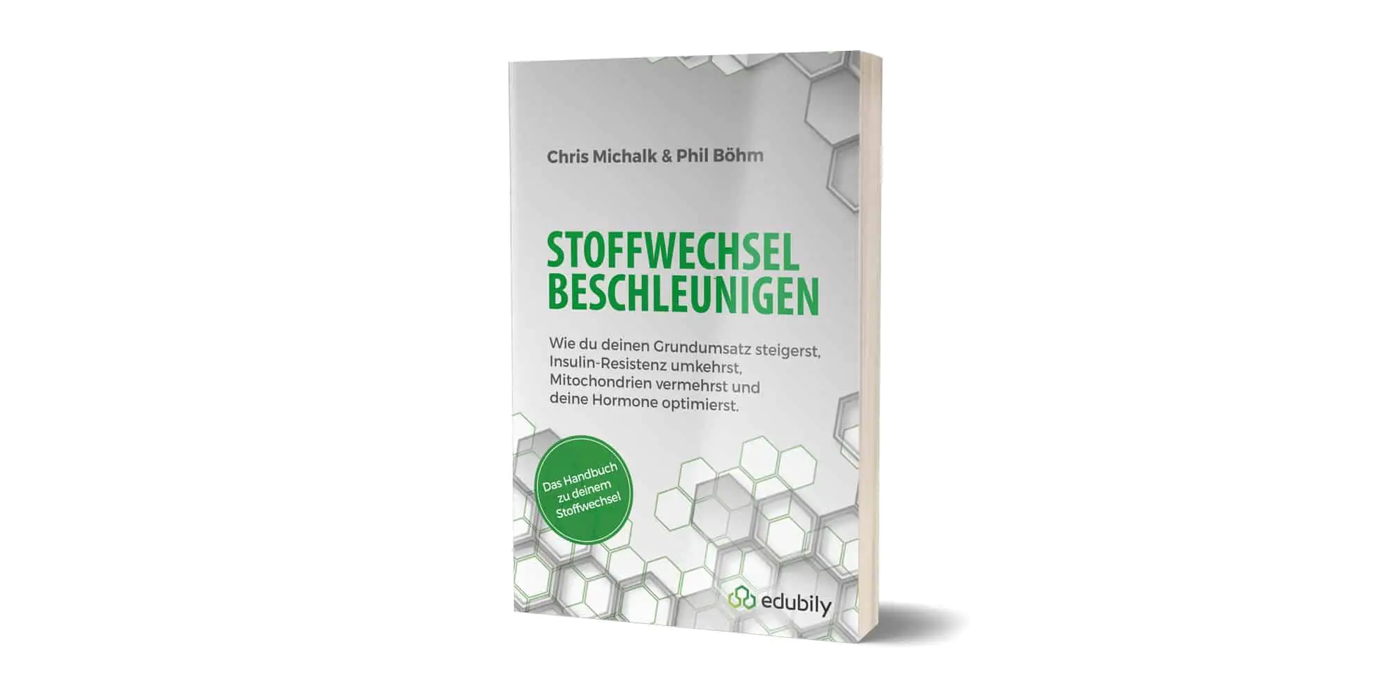 Neues Ebook Michalk