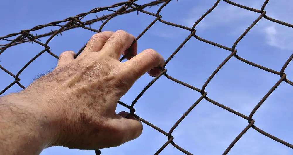 Warum Menschen keine tollen Versuchsobjekte sind