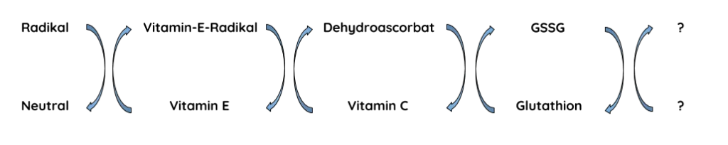 Antioxidanzin spenden Eletronen