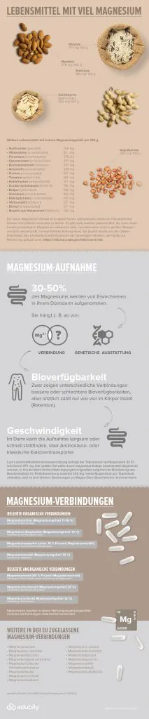 Infografik Lebensmittel mit Magnesium