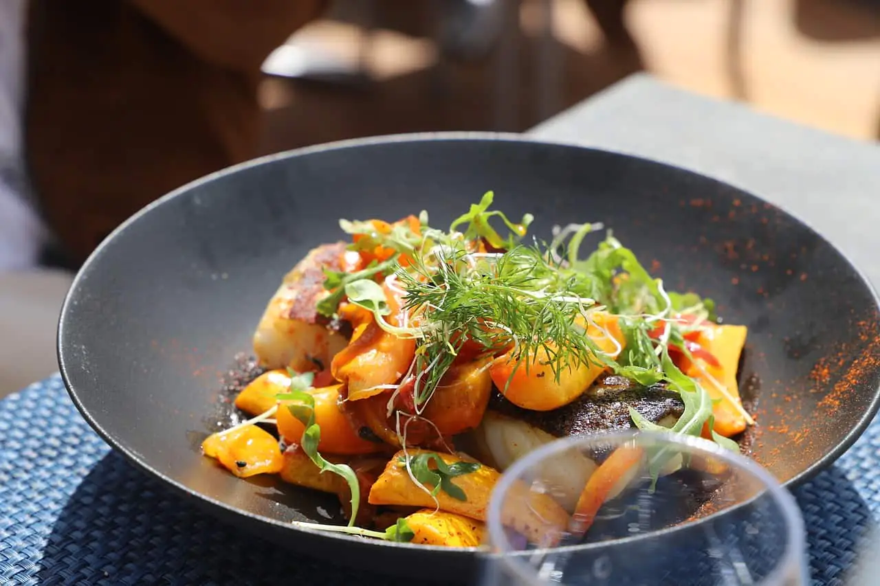 Vorteile von Veganismus und Karnivorismus im Vergleich