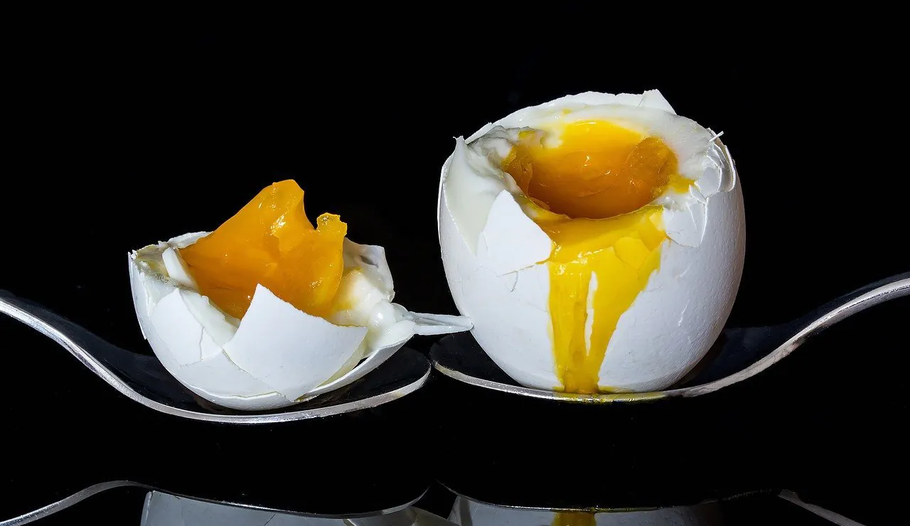 egg 2161877 1280