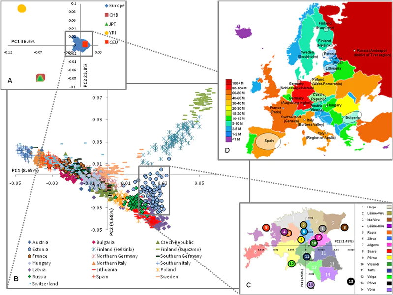 Was die Europäer-Genetik verrät