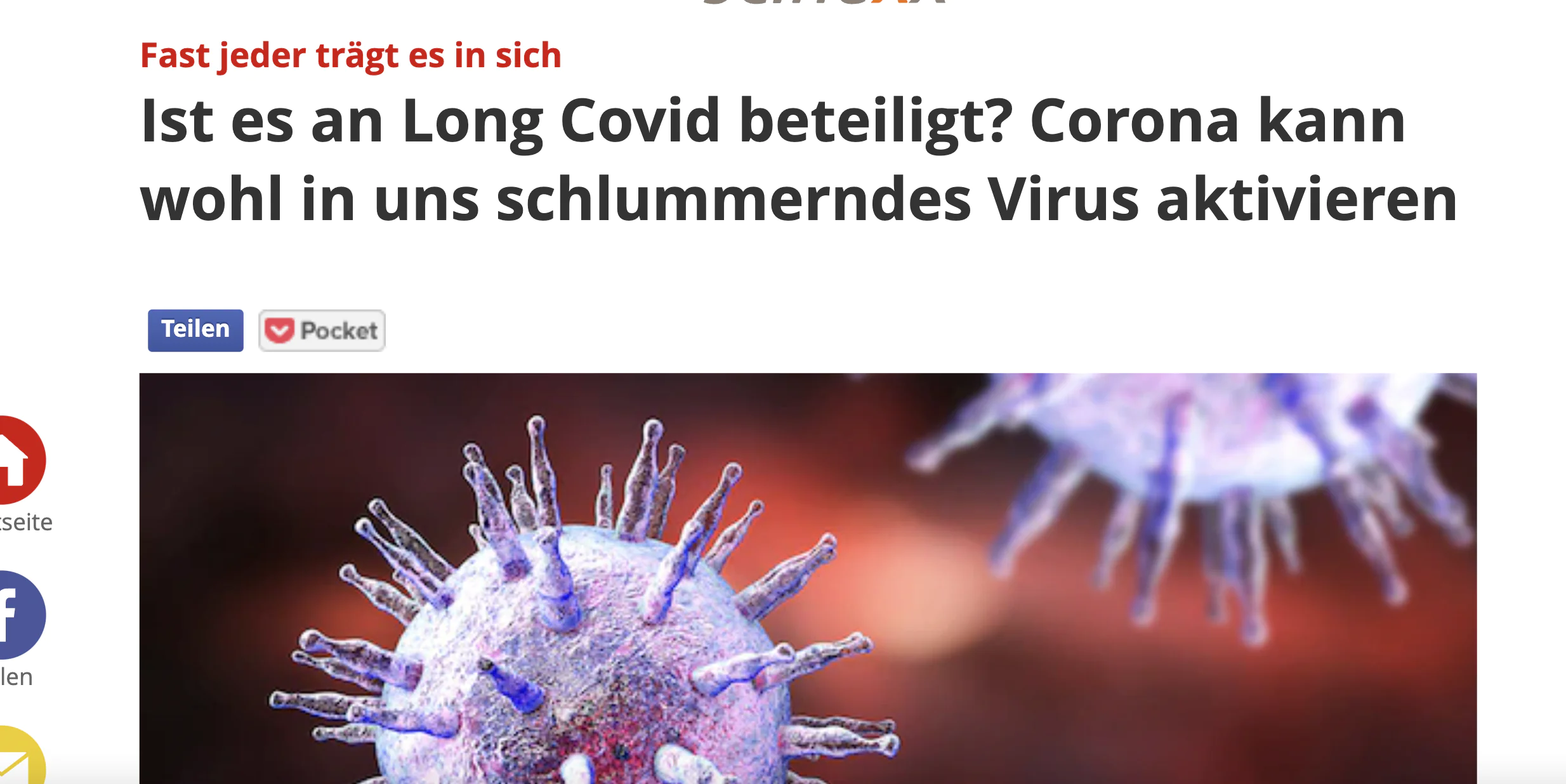 Immunsystem boosten