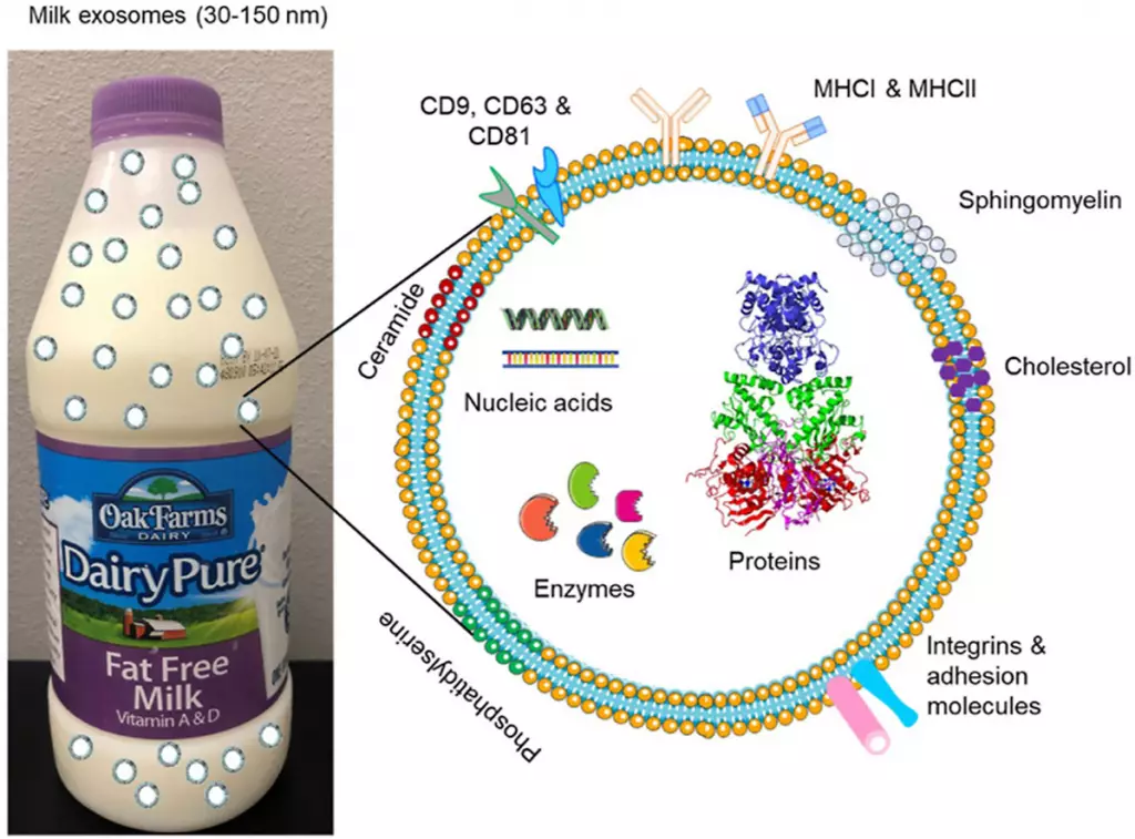 1 s2.0 S2452199X2100013X fx1 lrg