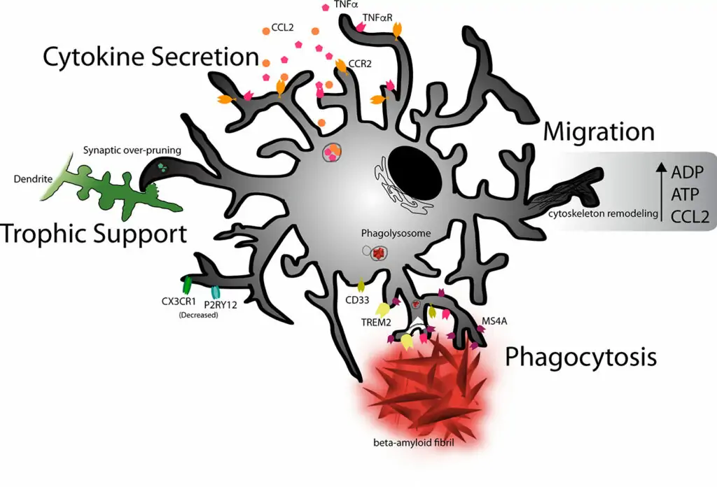 1 s2.0 S0022283619300646 ga1 lrg
