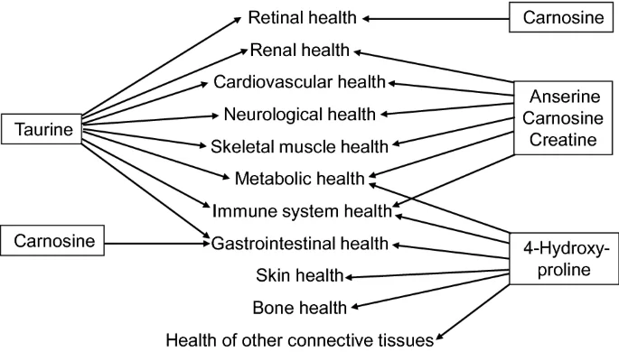 726 2020 2823 Fig3 HTML