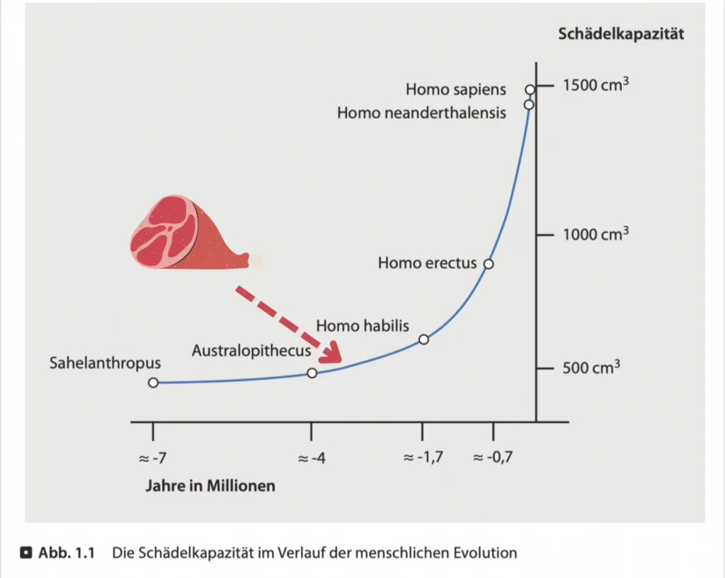 Bildschirmfoto 2022 12 14 um 08.48.22 1