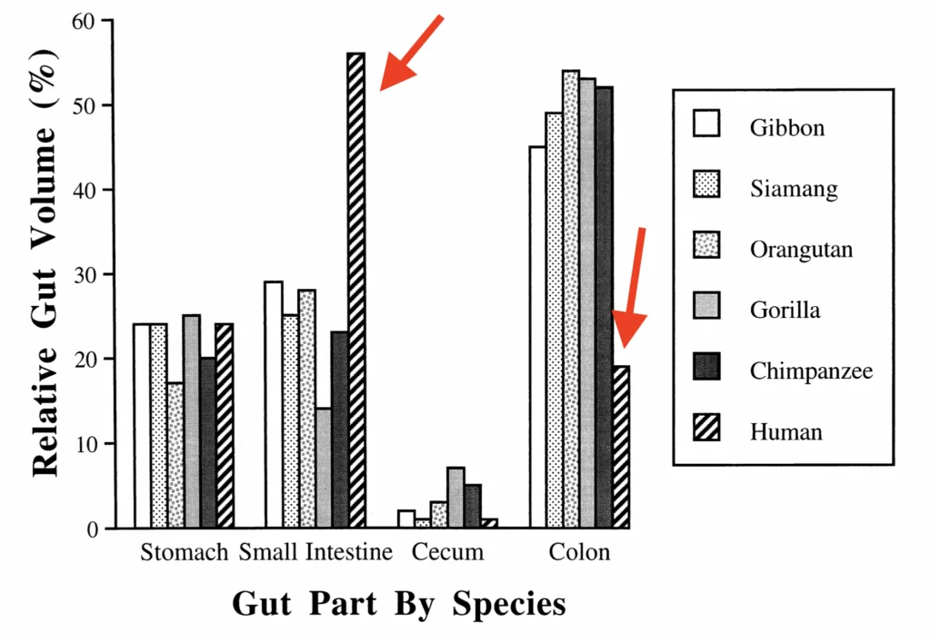 Bildschirmfoto 2022 12 14 um 10.43.02