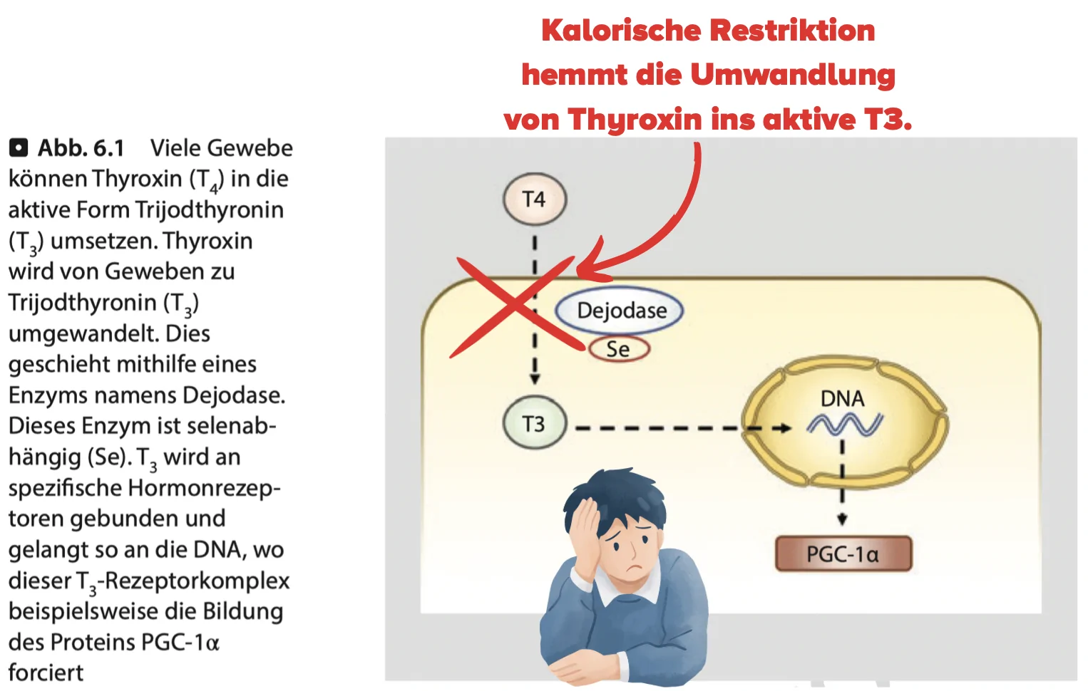Bildschirmfoto 2023 01 13 um 08.07.48 Bildschirmfoto 2023 01 13 um 08.07.48