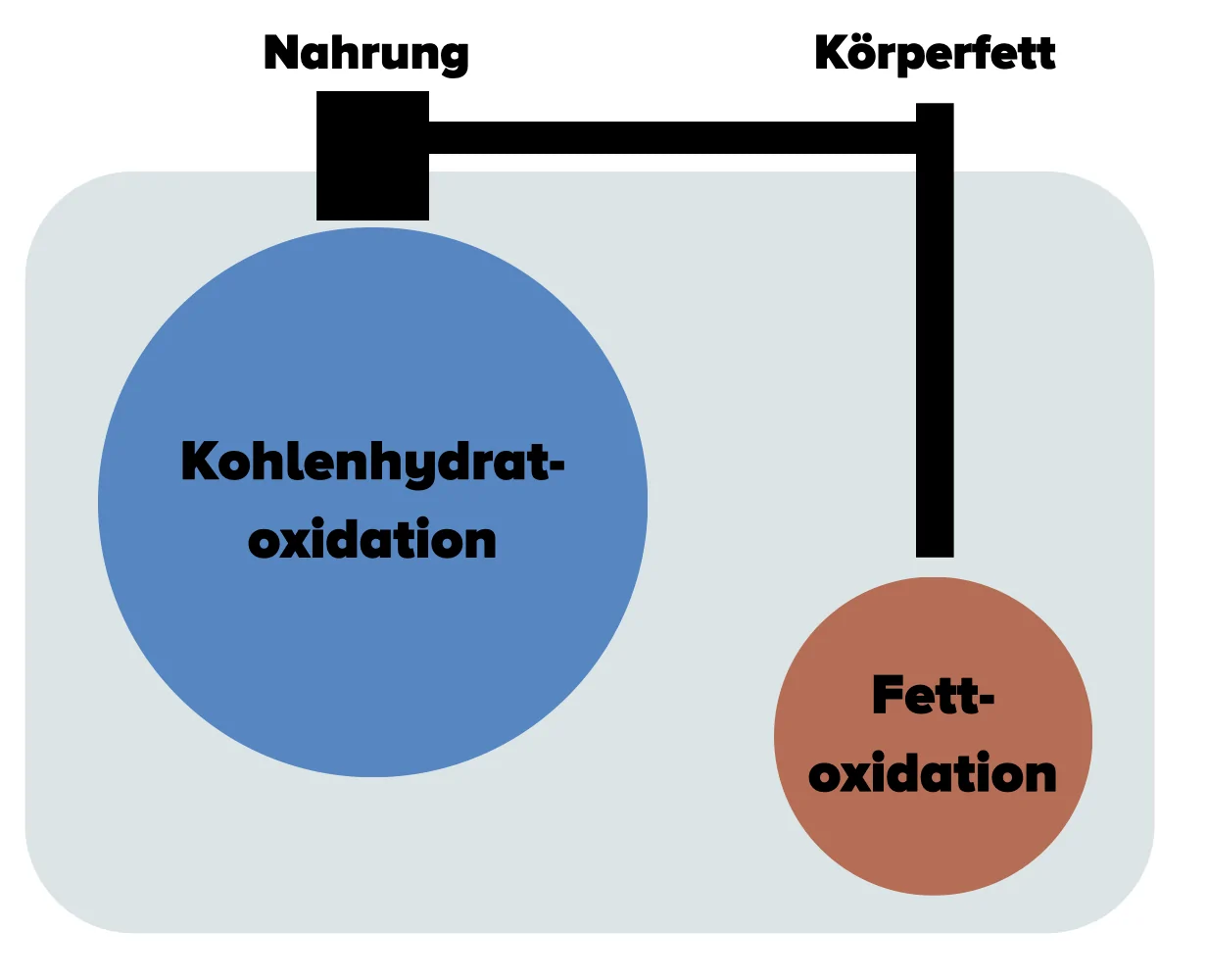 Glukosestoffwechsel