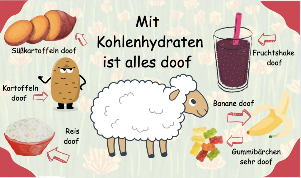 Mit Kohlenhydraten ist alles doof Mit Kohlenhydraten ist alles doof