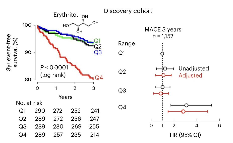discovery cohort erythrit discovery cohort erythrit
