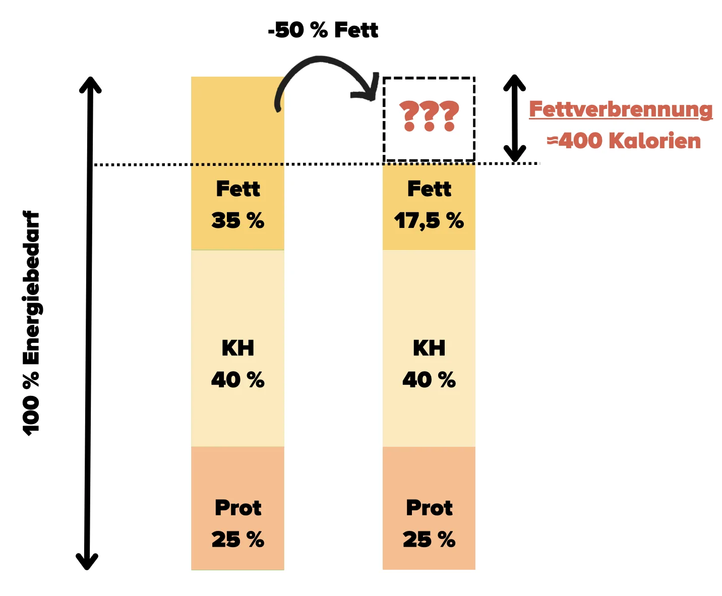 fettverbrennung fettreduktion