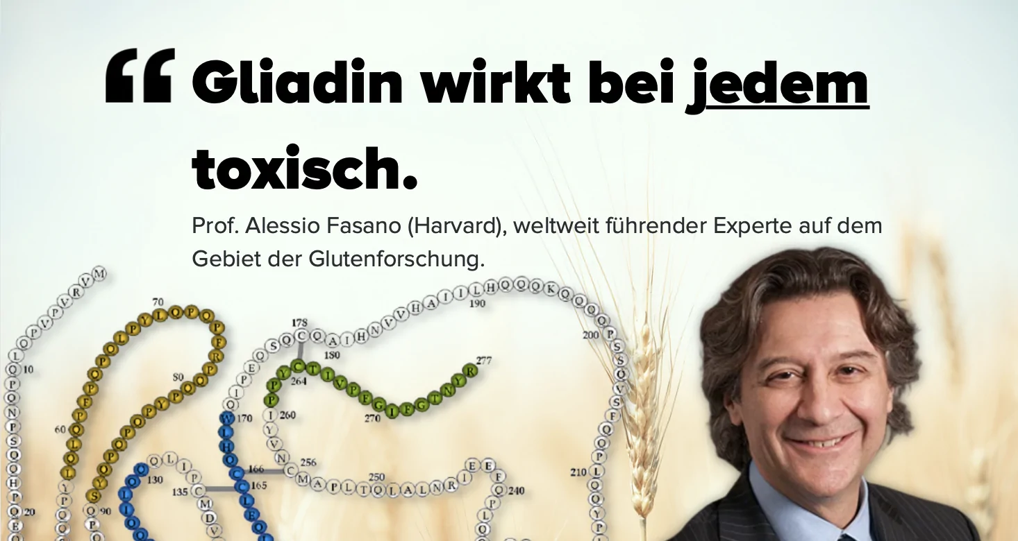 gliadin fasano toxisch