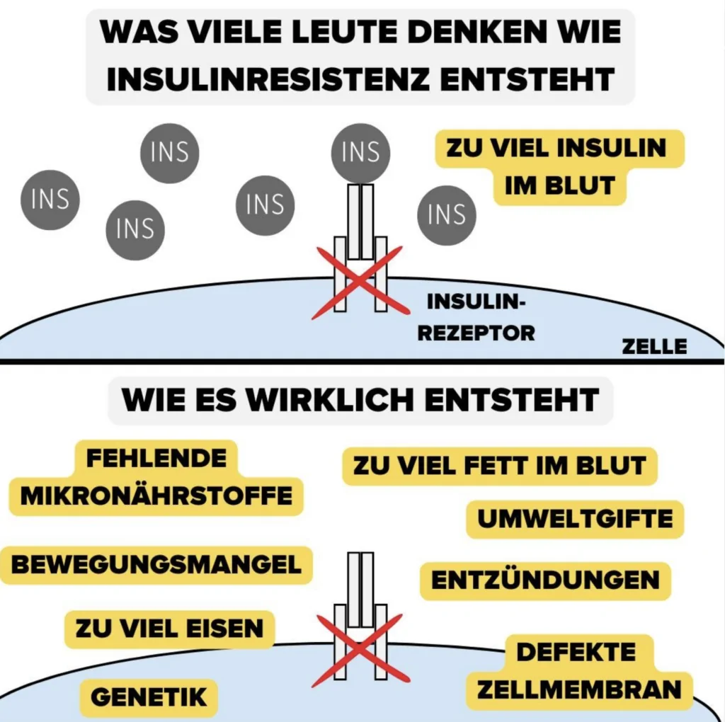 insulinresistenz ursachen insulinresistenz ursachen